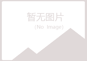 赤峰红山小夏采矿有限公司